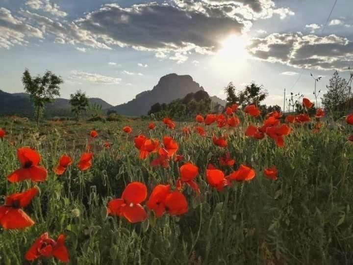 Casa Rural Campanilla Riópar Eksteriør bilde