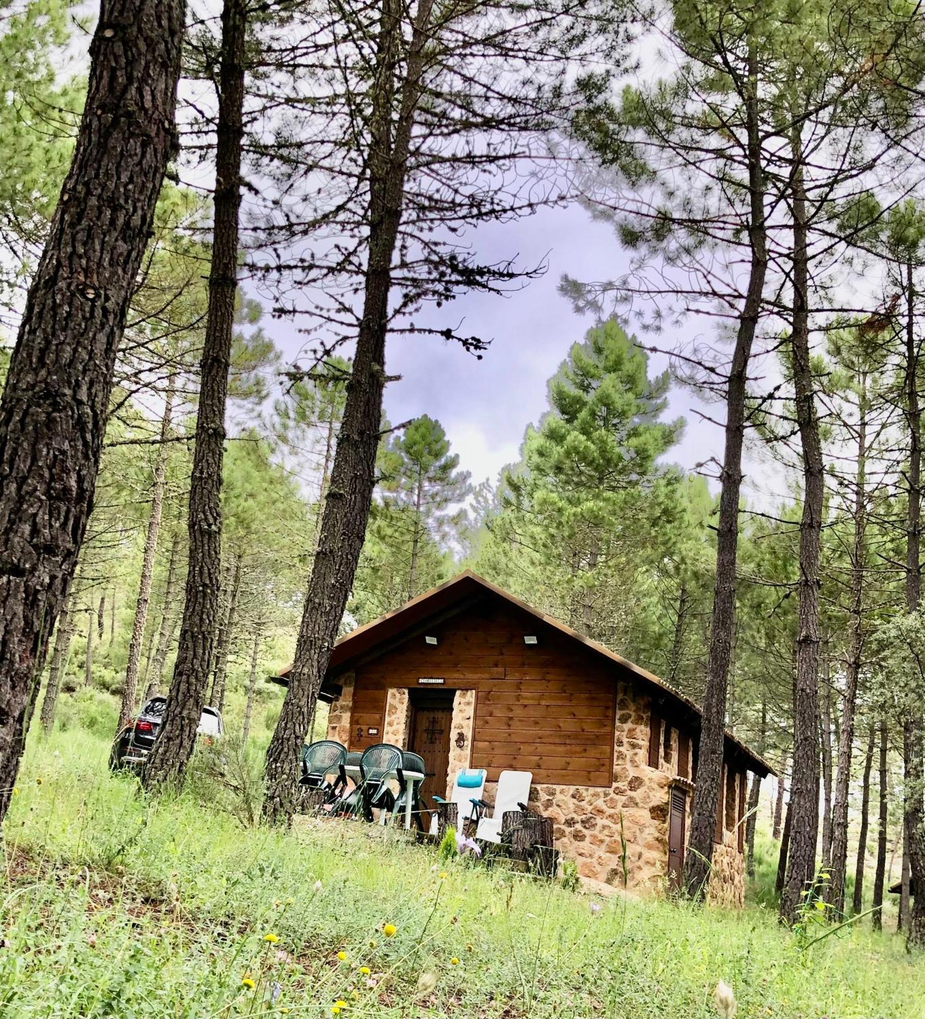 Casa Rural Campanilla Riópar Eksteriør bilde